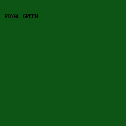 0D5514 - Royal Green color image preview