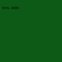 0D5916 - Royal Green color image preview