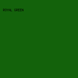 13620b - Royal Green color image preview