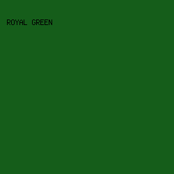 155d1a - Royal Green color image preview