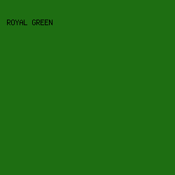 1e6e12 - Royal Green color image preview