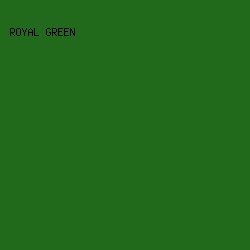 216a1b - Royal Green color image preview