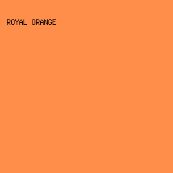 FF8E4B - Royal Orange color image preview