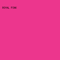 ec368d - Royal Pink color image preview