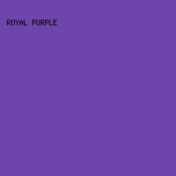 6E45AB - Royal Purple color image preview