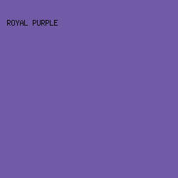 725BA6 - Royal Purple color image preview
