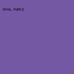 7558A4 - Royal Purple color image preview