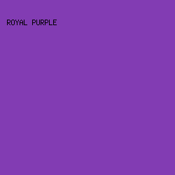 823CB3 - Royal Purple color image preview