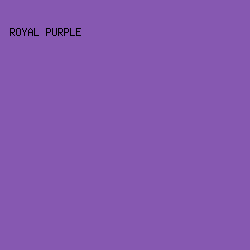 8658b1 - Royal Purple color image preview