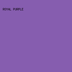 865DAF - Royal Purple color image preview