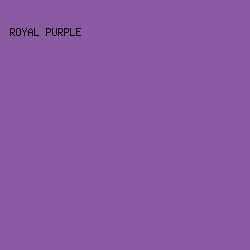8A5AA3 - Royal Purple color image preview