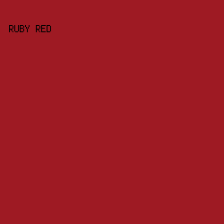9E1A23 - Ruby Red color image preview