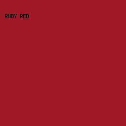 9f1928 - Ruby Red color image preview