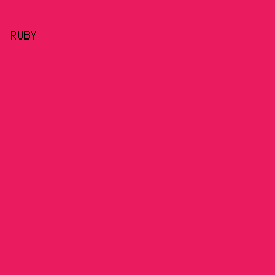 EB1B5F - Ruby color image preview