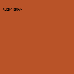 B95328 - Ruddy Brown color image preview