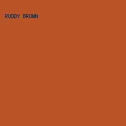 B95527 - Ruddy Brown color image preview