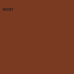 7A3921 - Russet color image preview