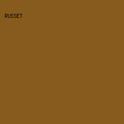 875b1e - Russet color image preview