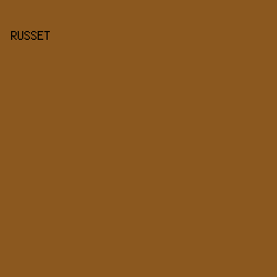 8b581f - Russet color image preview