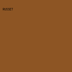 8d5524 - Russet color image preview