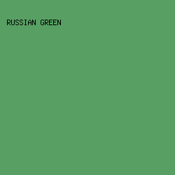 589f63 - Russian Green color image preview