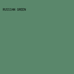 5A876B - Russian Green color image preview