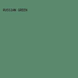 5B8B6E - Russian Green color image preview