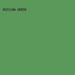 5B995A - Russian Green color image preview