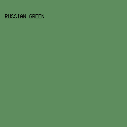 5E8D5E - Russian Green color image preview