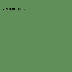 608F59 - Russian Green color image preview