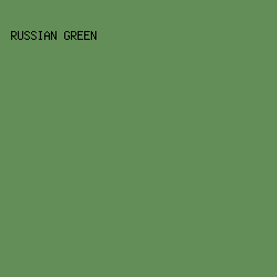638E57 - Russian Green color image preview