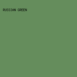 658D5C - Russian Green color image preview