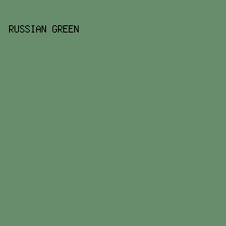 678d6c - Russian Green color image preview