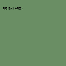 6A8E64 - Russian Green color image preview
