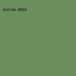 6A8F5C - Russian Green color image preview