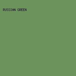 6C935C - Russian Green color image preview