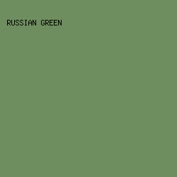 6F8E5F - Russian Green color image preview