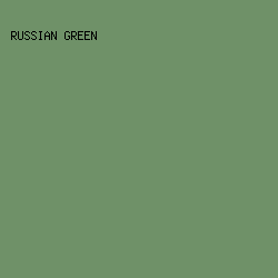 6F9168 - Russian Green color image preview