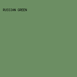 6c8e63 - Russian Green color image preview