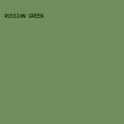 718e5e - Russian Green color image preview