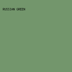 73966C - Russian Green color image preview