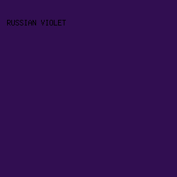 310e51 - Russian Violet color image preview
