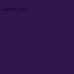 31144C - Russian Violet color image preview
