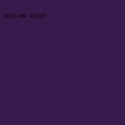 381a4c - Russian Violet color image preview