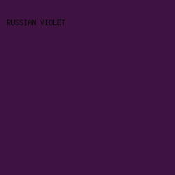 3E1341 - Russian Violet color image preview