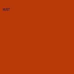 B73907 - Rust color image preview
