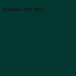 003831 - Sacramento State Green color image preview