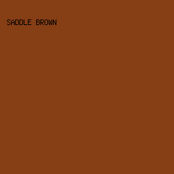 863E15 - Saddle Brown color image preview