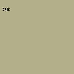 B0B18B - Sage color image preview