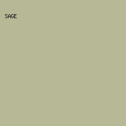 B6B896 - Sage color image preview